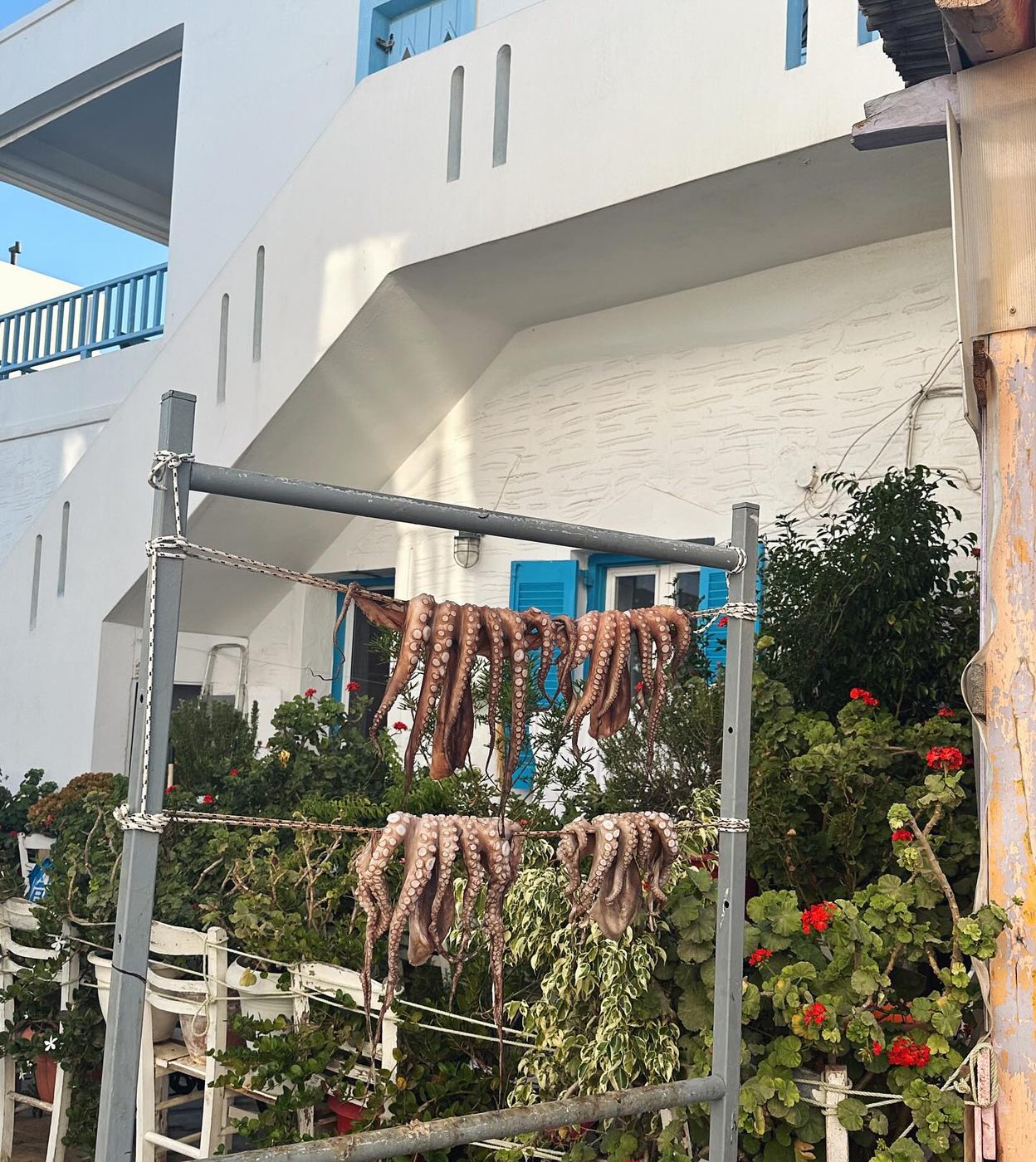 ✨🇬🇷 Recap de uno de nuestros viajes a las islas griegas — foto 3 de 18