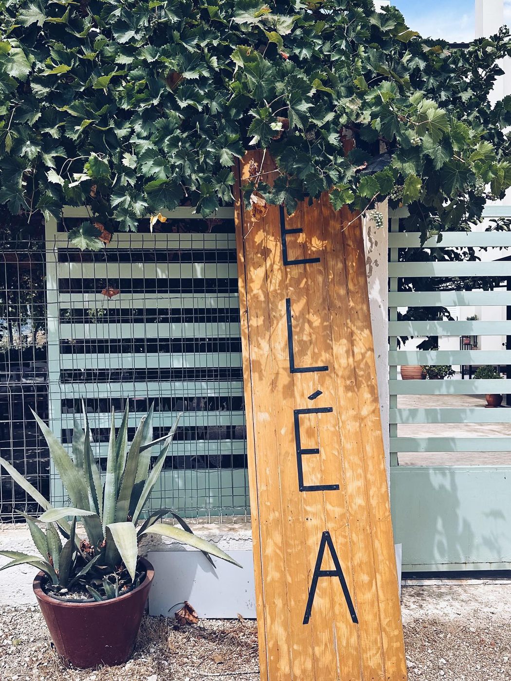 🍴📍Eléa (Albania) — foto 3 de 11