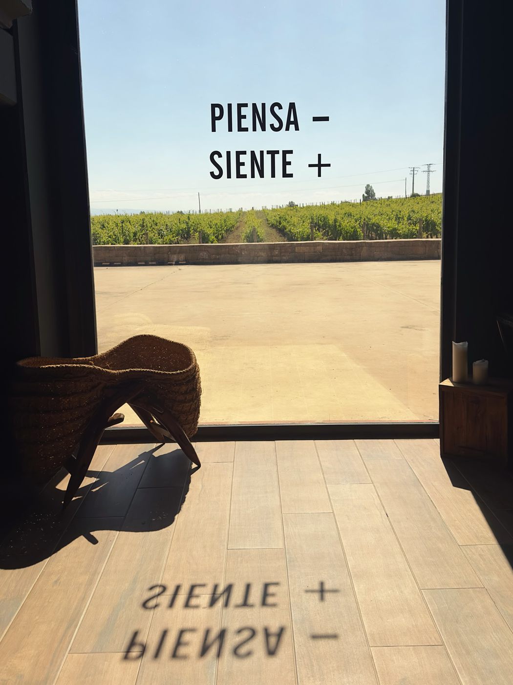 Bodega Javier San Pedro Ortega — foto 4 de 20
