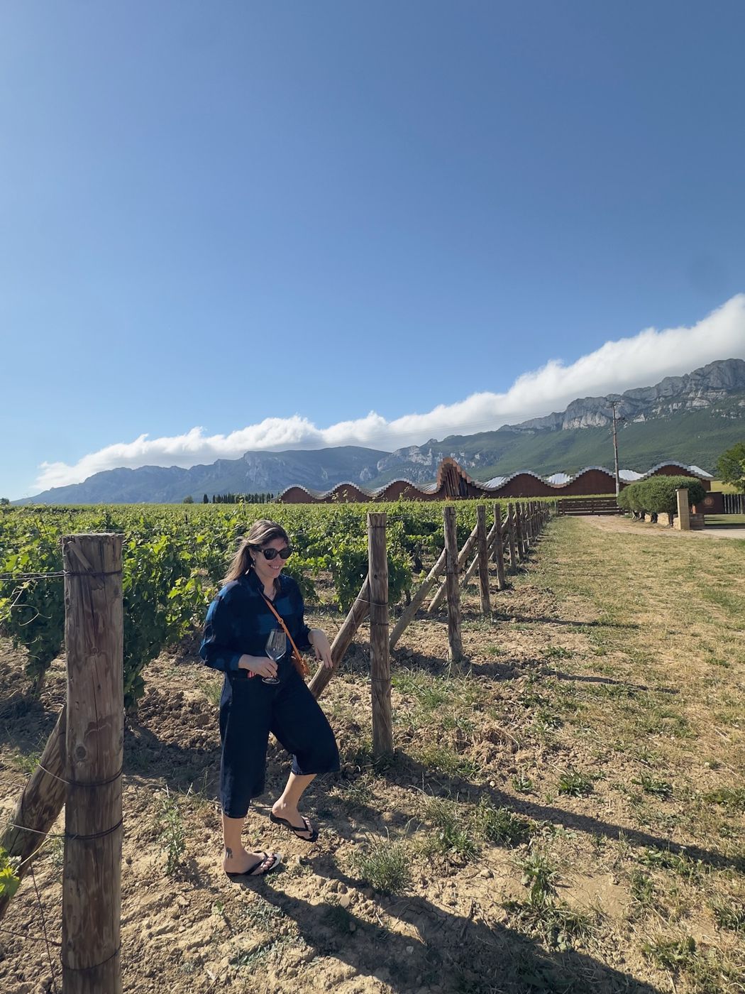Bodega Javier San Pedro Ortega — foto 14 de 20