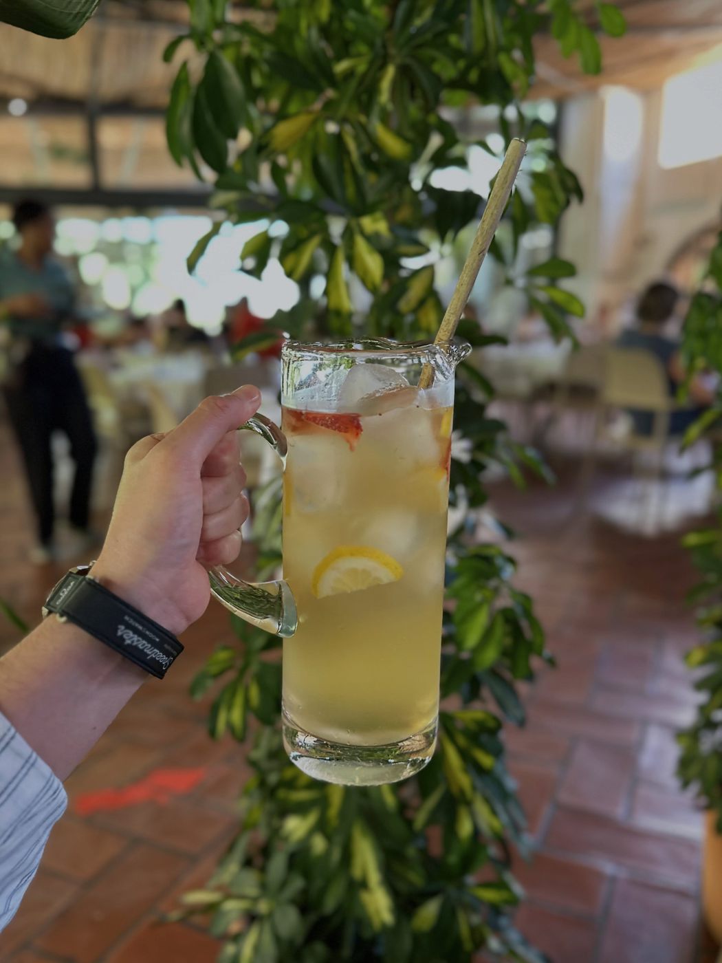 Casa Federico — foto 8 de 17