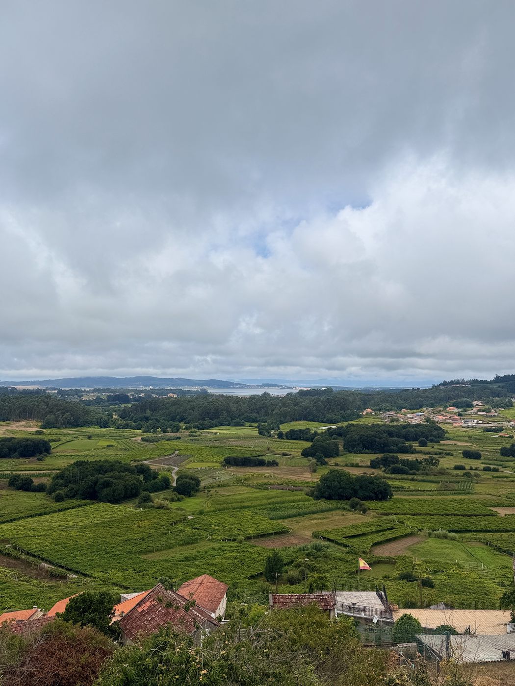 Forjas del Salnés — foto 5 de 20