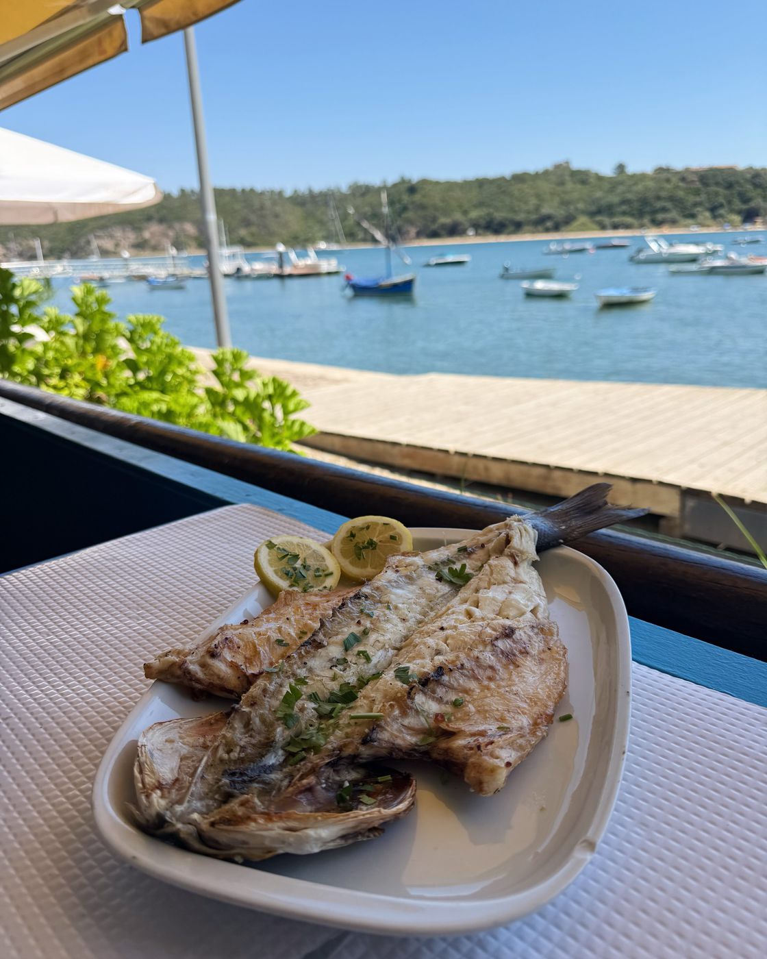 Vila Nova de Milfontes y Algarve ๐ต๐น โ foto 3 de 20